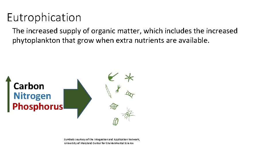 Eutrophication The increased supply of organic matter, which includes the increased phytoplankton that grow