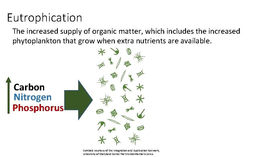 Eutrophication The increased supply of organic matter, which includes the increased phytoplankton that grow