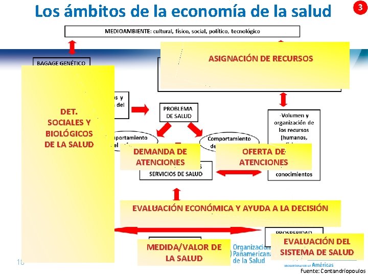 Los ámbitos de la economía de la salud ASIGNACIÓN DE RECURSOS DET. SOCIALES Y