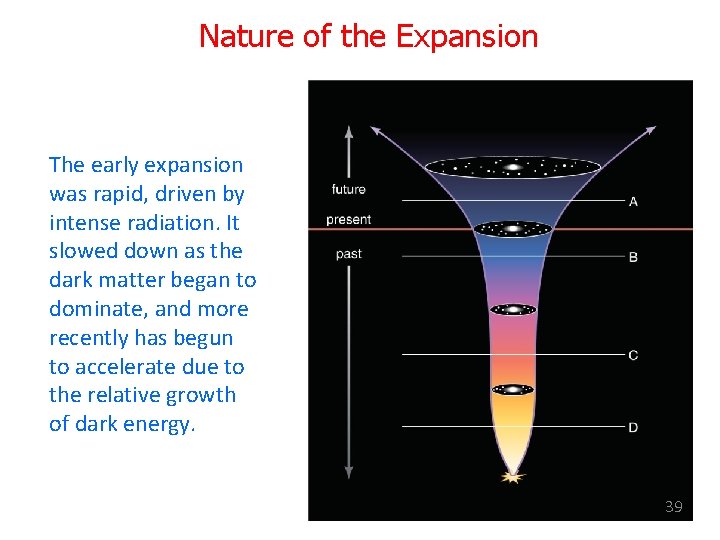 Nature of the Expansion The early expansion was rapid, driven by intense radiation. It