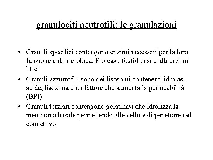 granulociti neutrofili: le granulazioni • Granuli specifici contengono enzimi necessari per la loro funzione