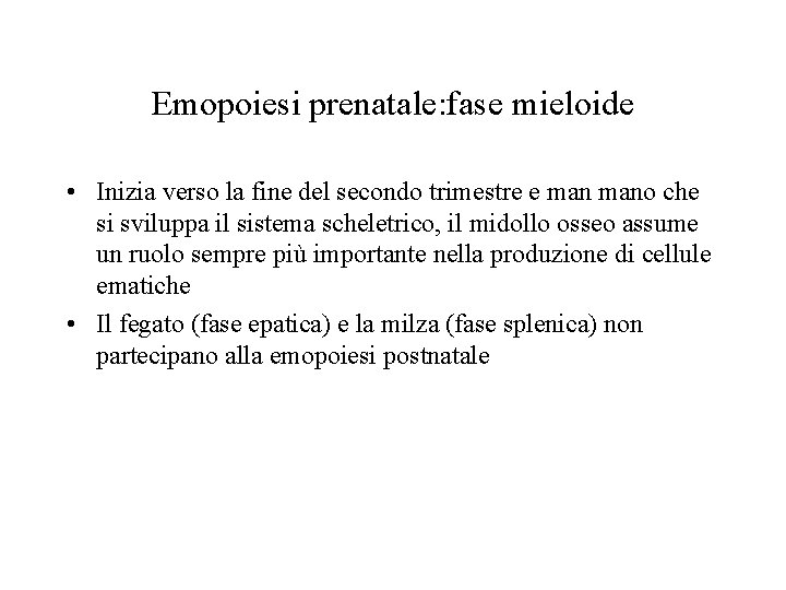 Emopoiesi prenatale: fase mieloide • Inizia verso la fine del secondo trimestre e mano