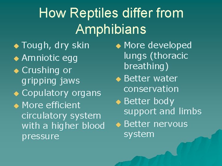 How Reptiles differ from Amphibians Tough, dry skin u Amniotic egg u Crushing or