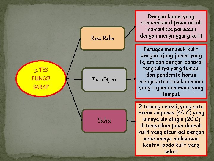 Rasa Raba 3. TES FUNGSI SARAF Rasa Nyeri Suhu Dengan kapas yang dilancipkan dipakai Rasa Raba 3. TES FUNGSI SARAF Rasa Nyeri Suhu Dengan kapas yang dilancipkan dipakai