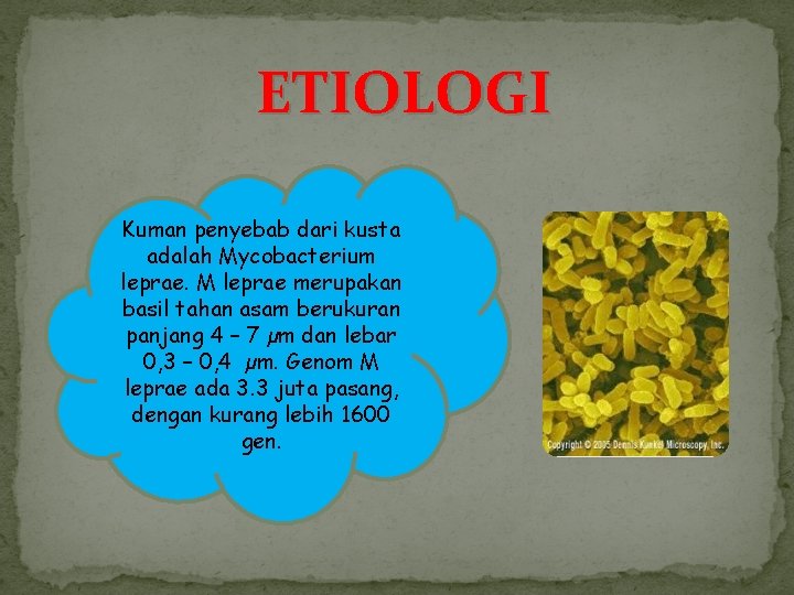 ETIOLOGI Kuman penyebab dari kusta adalah Mycobacterium leprae. M leprae merupakan basil tahan asam ETIOLOGI Kuman penyebab dari kusta adalah Mycobacterium leprae. M leprae merupakan basil tahan asam