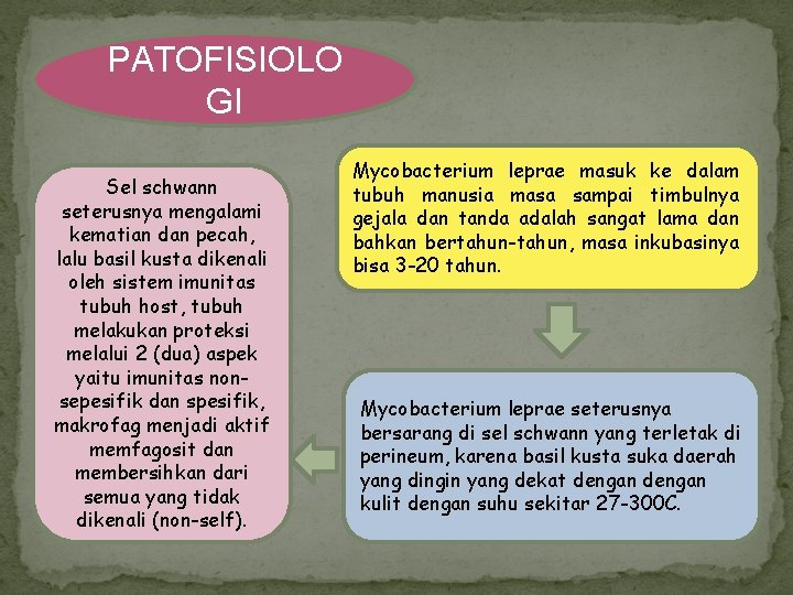 PATOFISIOLO GI Sel schwann seterusnya mengalami kematian dan pecah, lalu basil kusta dikenali oleh