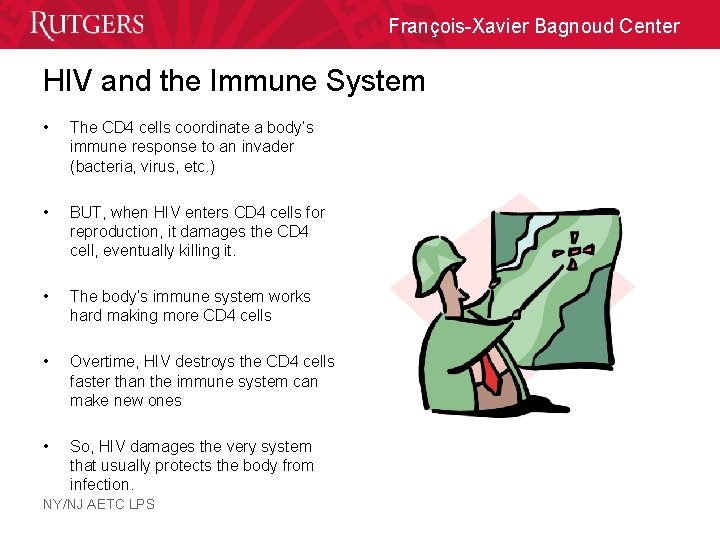 François-Xavier Bagnoud Center HIV and the Immune System • The CD 4 cells coordinate