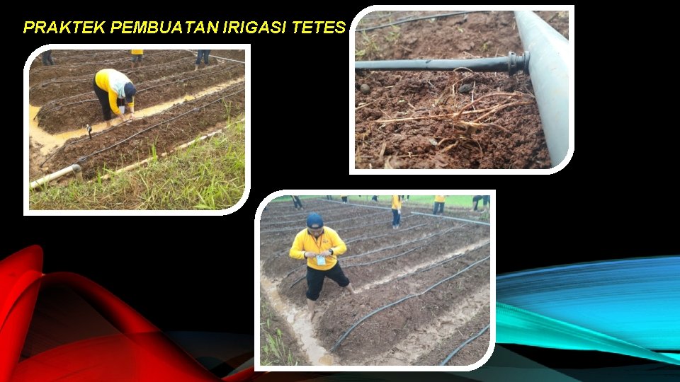 PRAKTEK PEMBUATAN IRIGASI TETES 