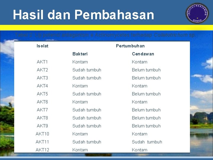 Hasil dan Pembahasan Tabel 2 Uji potensi antagonism e Actinomycetes terhadap Colletotrichum sp. Isolat