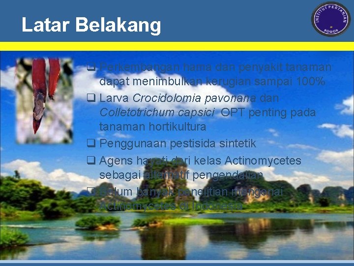 Latar Belakang q Perkembangan hama dan penyakit tanaman dapat menimbulkan kerugian sampai 100% q