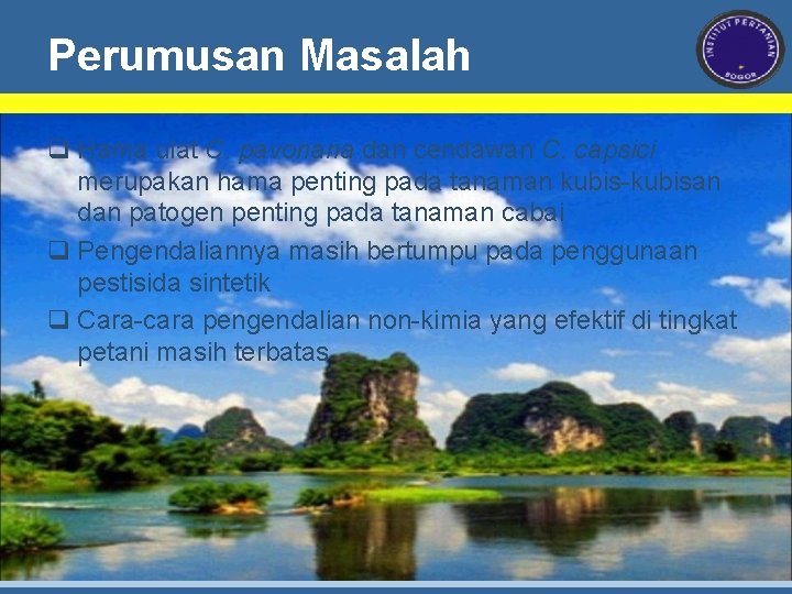 Perumusan Masalah q Hama ulat C. pavonana dan cendawan C. capsici merupakan hama penting