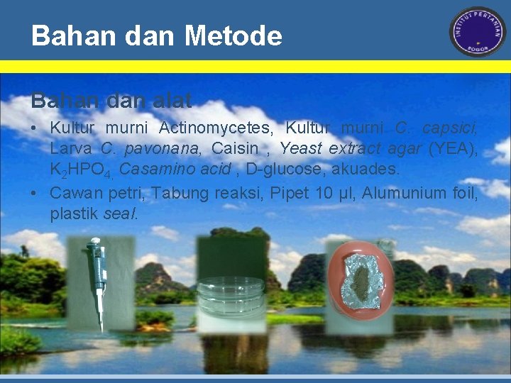 Bahan dan Metode Bahan dan alat • Kultur murni Actinomycetes, Kultur murni C. capsici,