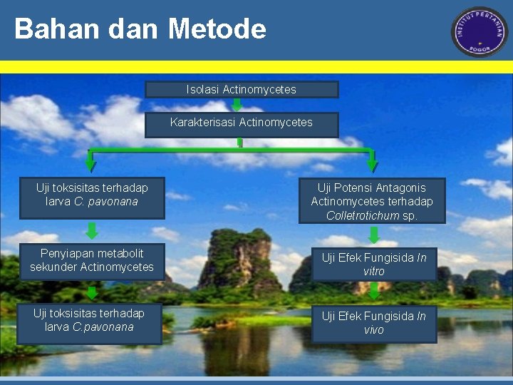 Bahan dan Metode Isolasi Actinomycetes Karakterisasi Actinomycetes Uji toksisitas terhadap larva C. pavonana Uji