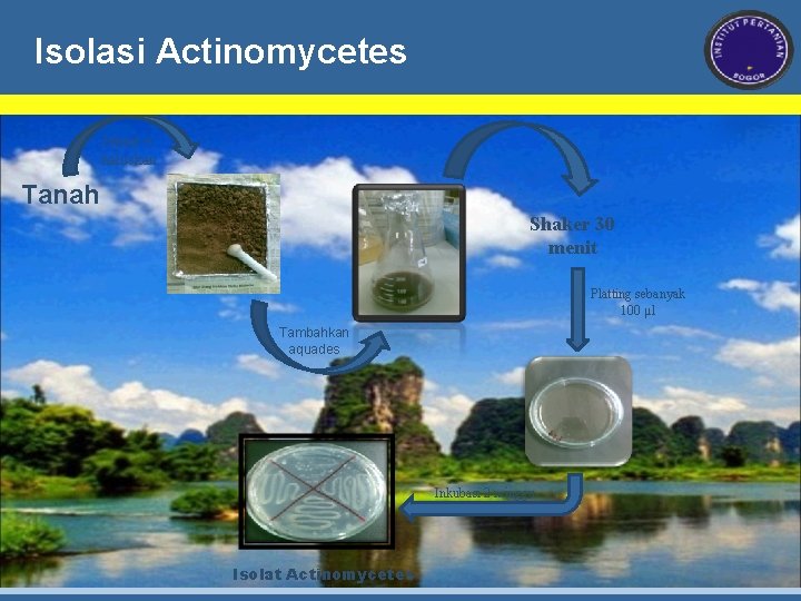 Isolasi Actinomycetes Jemur + haluskan Tanah Shaker 30 menit Platting sebanyak 100 µl Tambahkan