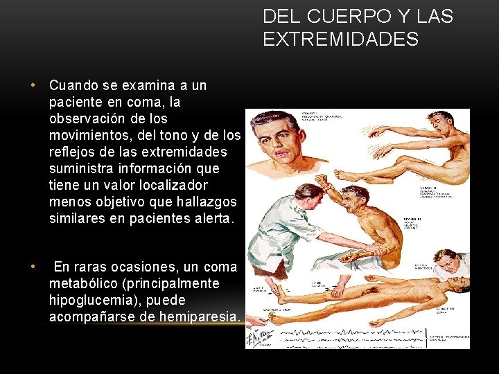 DEL CUERPO Y LAS EXTREMIDADES • Cuando se examina a un paciente en coma,