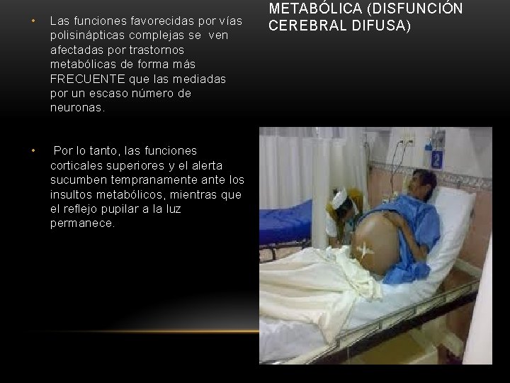  • Las funciones favorecidas por vías polisinápticas complejas se ven afectadas por trastornos