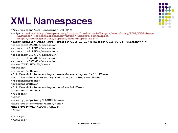 XML Namespaces <? xml version='1. 0' encoding='UTF-8'? > <uniprot xmlns="http: //uniprot. org/uniprot" xmlns: xsi="http: