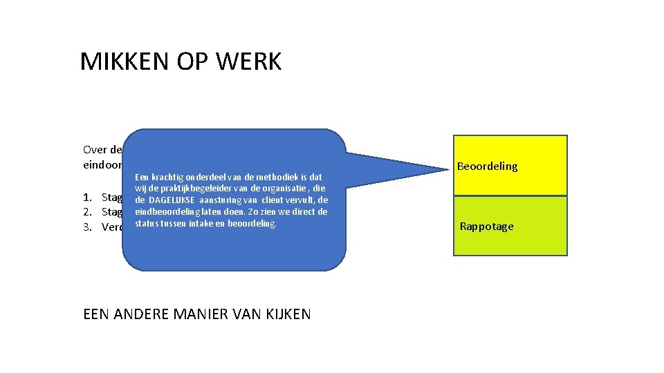 MIKKEN OP WERK Over de client wordt door de MOWcoordinator een eindoordeel gegeven, dat