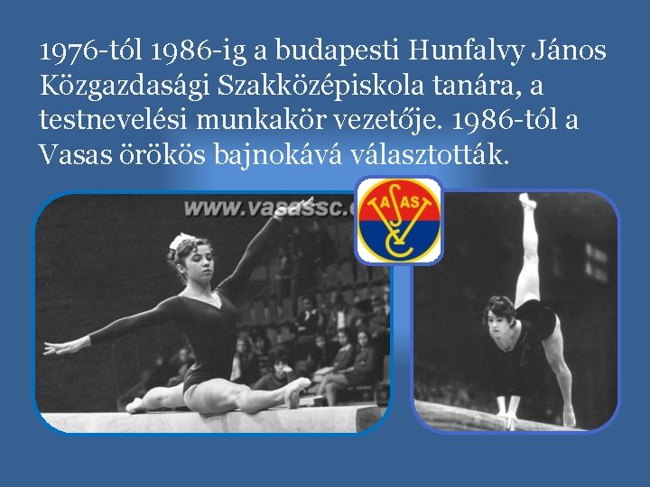 1976 -tól 1986 -ig a budapesti Hunfalvy János Közgazdasági Szakközépiskola tanára, a testnevelési munkakör