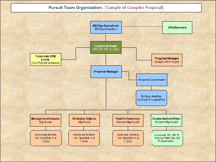 Pursuit Team Organization: (Sample of Complex Proposal) 