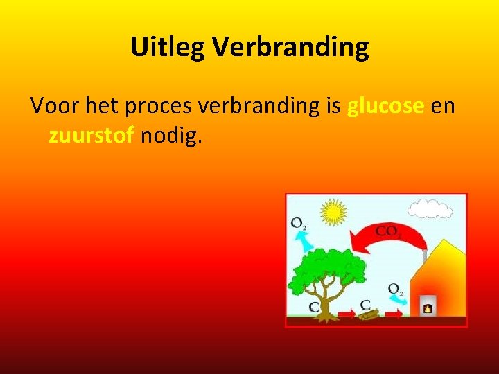 Uitleg Verbranding Voor het proces verbranding is glucose en zuurstof nodig. 