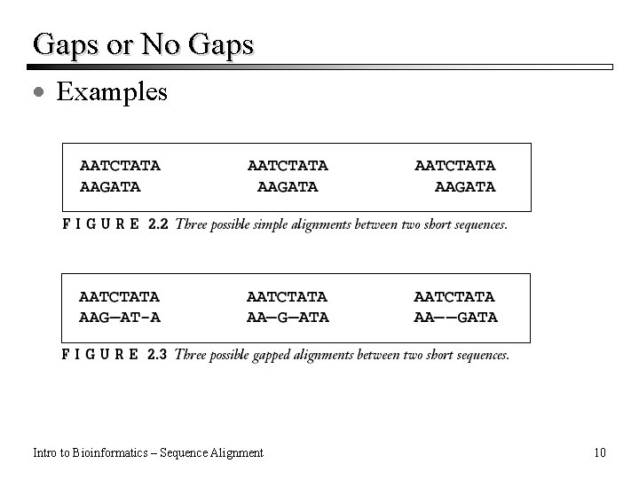 Gaps or No Gaps · Examples Intro to Bioinformatics – Sequence Alignment 10 Gaps or No Gaps · Examples Intro to Bioinformatics – Sequence Alignment 10