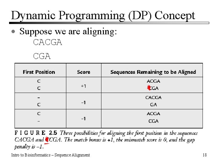 Dynamic Programming (DP) Concept · Suppose we are aligning: CACGA Intro to Bioinformatics – Dynamic Programming (DP) Concept · Suppose we are aligning: CACGA Intro to Bioinformatics –