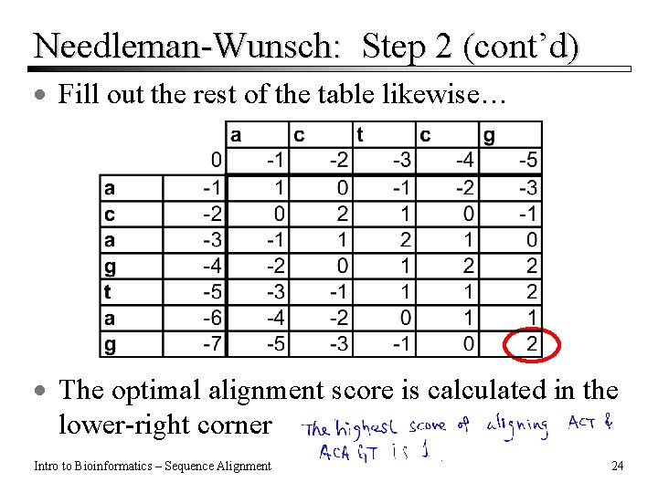 Needleman-Wunsch: Step 2 (cont’d) · Fill out the rest of the table likewise… · Needleman-Wunsch: Step 2 (cont’d) · Fill out the rest of the table likewise… ·