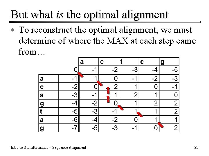 But what is the optimal alignment · To reconstruct the optimal alignment, we must But what is the optimal alignment · To reconstruct the optimal alignment, we must