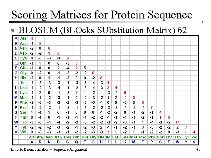 Scoring Matrices for Protein Sequence · BLOSUM (BLOcks SUbstitution Matrix) 62 Intro to Bioinformatics Scoring Matrices for Protein Sequence · BLOSUM (BLOcks SUbstitution Matrix) 62 Intro to Bioinformatics