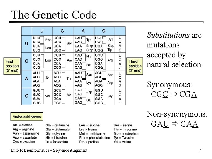 The Genetic Code Substitutions are mutations accepted by natural selection. Synonymous: CGC CGA Non-synonymous: The Genetic Code Substitutions are mutations accepted by natural selection. Synonymous: CGC CGA Non-synonymous: