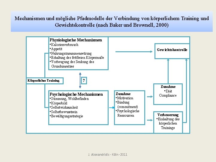 Mechanismen und mögliche Pfadmodelle der Verbindung von körperlichem Training und Gewichtskontrolle (nach Baker und