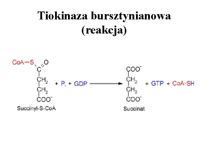 Tiokinaza bursztynianowa (reakcja) 