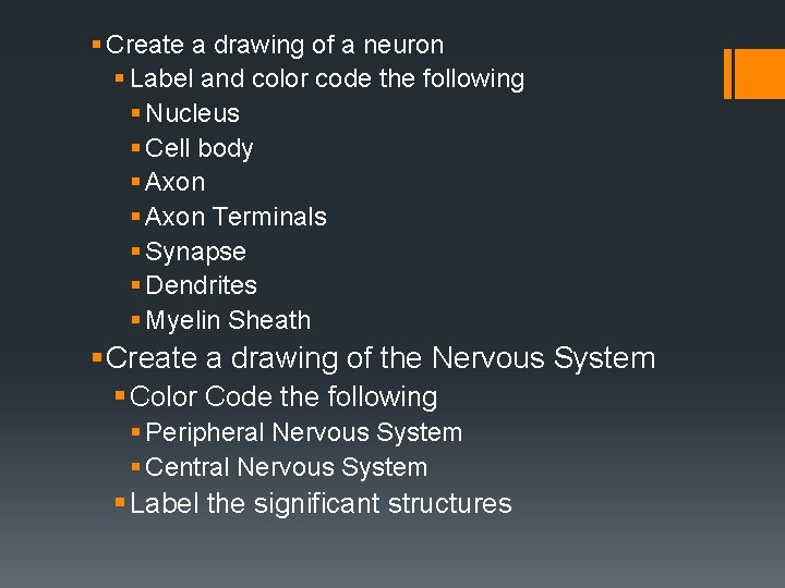 § Create a drawing of a neuron § Label and color code the following