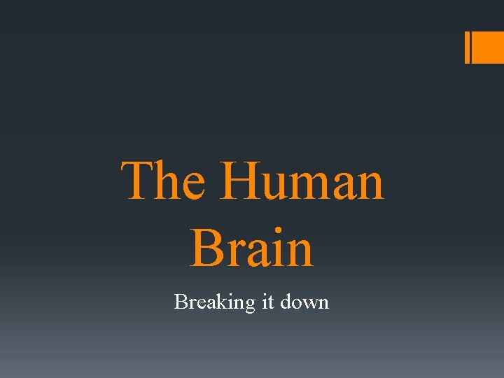 The Human Brain Breaking it down 