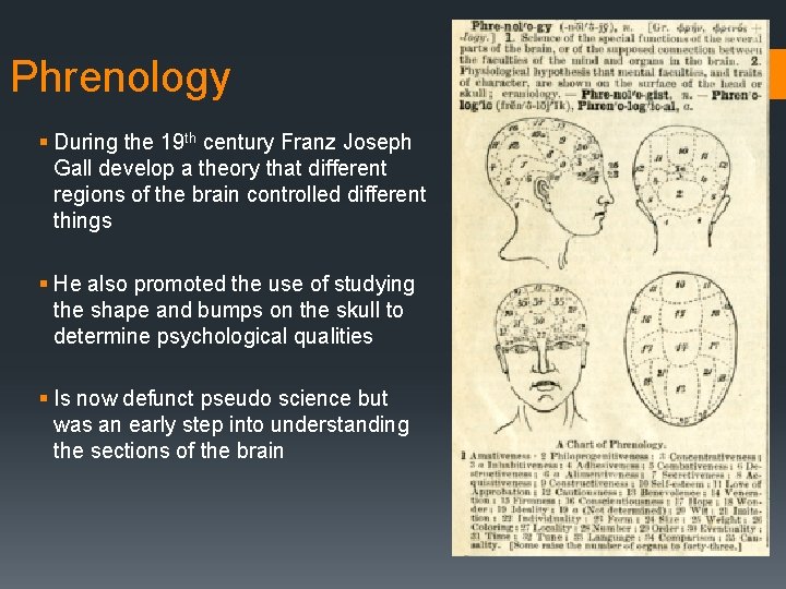 Phrenology § During the 19 th century Franz Joseph Gall develop a theory that