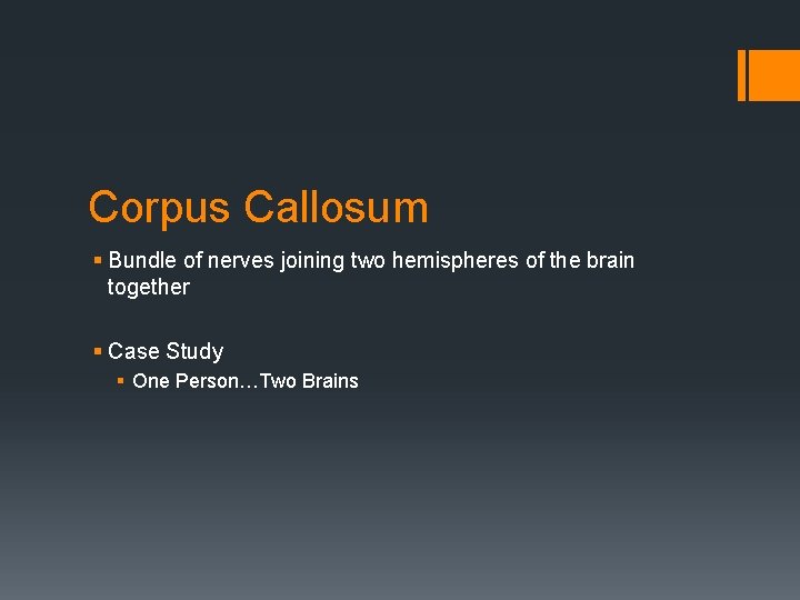 Corpus Callosum § Bundle of nerves joining two hemispheres of the brain together §