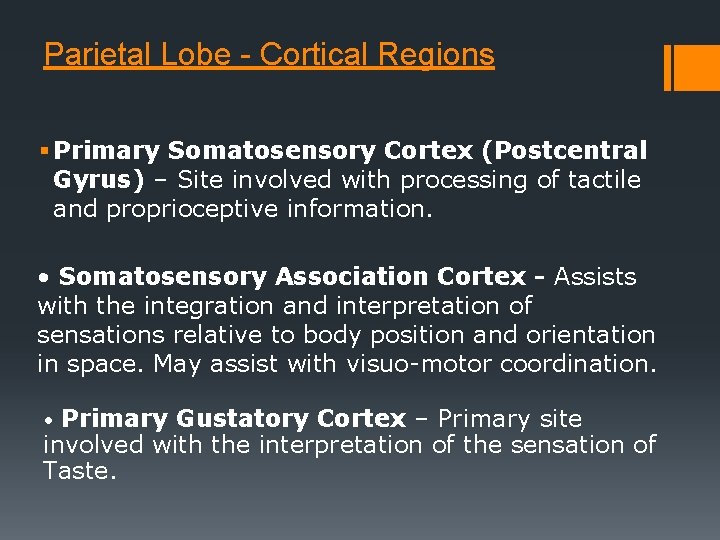 Parietal Lobe - Cortical Regions § Primary Somatosensory Cortex (Postcentral Gyrus) – Site involved