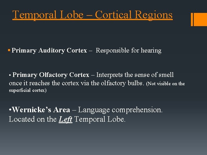 Temporal Lobe – Cortical Regions § Primary Auditory Cortex – Responsible for hearing •