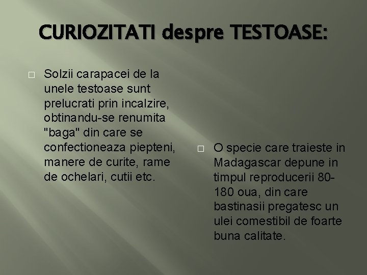 CURIOZITATI despre TESTOASE: � Solzii carapacei de la unele testoase sunt prelucrati prin incalzire,