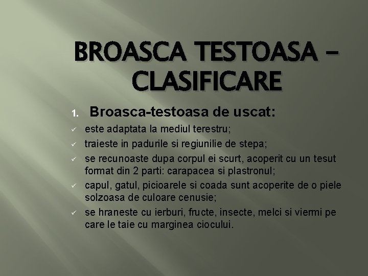 BROASCA TESTOASA CLASIFICARE 1. ü ü ü Broasca-testoasa de uscat: este adaptata la mediul