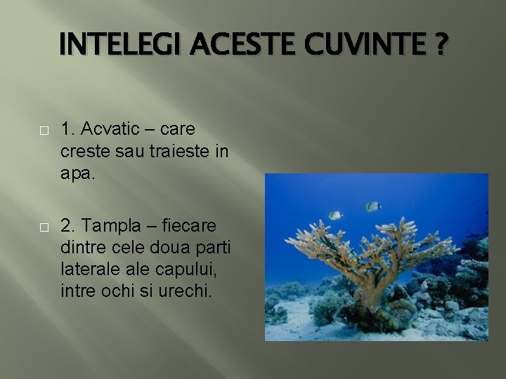 INTELEGI ACESTE CUVINTE ? � 1. Acvatic – care creste sau traieste in apa.