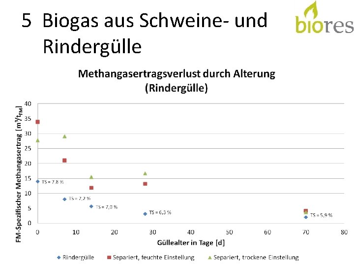 5 Biogas aus Schweine- und Rindergülle 