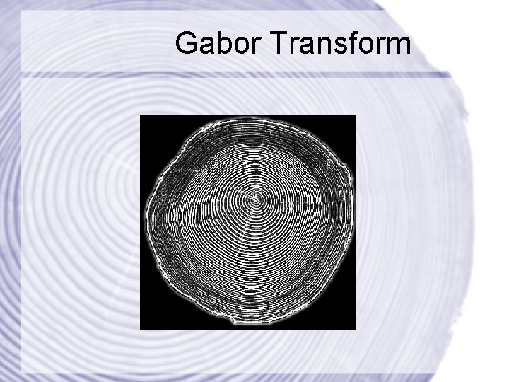 Gabor Transform 