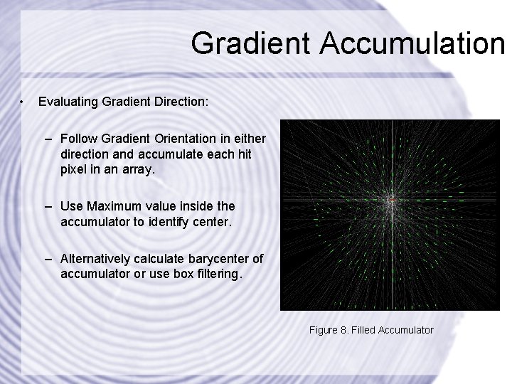 Gradient Accumulation • Evaluating Gradient Direction: – Follow Gradient Orientation in either direction and