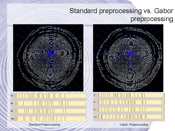 Standard preprocessing vs. Gabor preprocessing Standard Preprocessing Gabor Preprocessing 