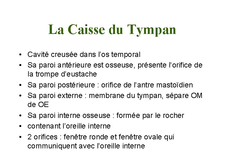 La Caisse du Tympan • Cavité creusée dans l’os temporal • Sa paroi antérieure