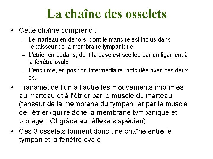 La chaîne des osselets • Cette chaîne comprend : – Le marteau en dehors,