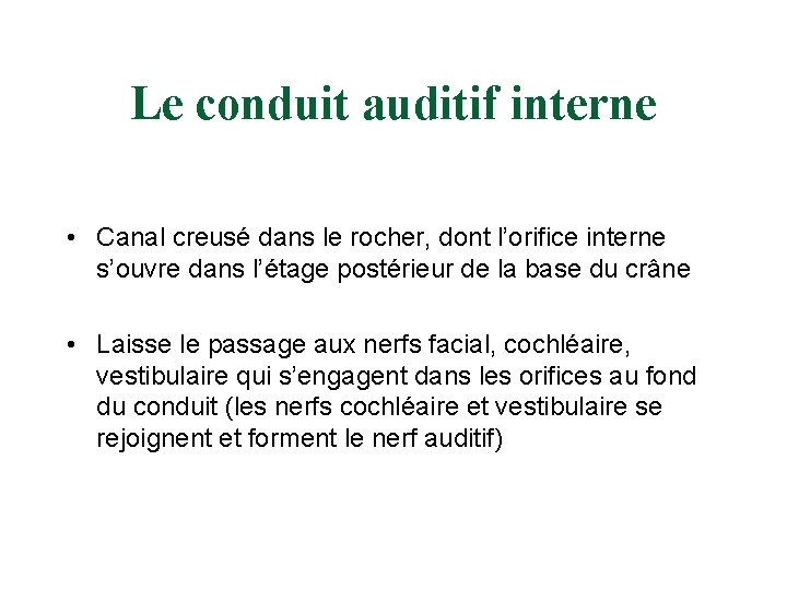 Le conduit auditif interne • Canal creusé dans le rocher, dont l’orifice interne s’ouvre