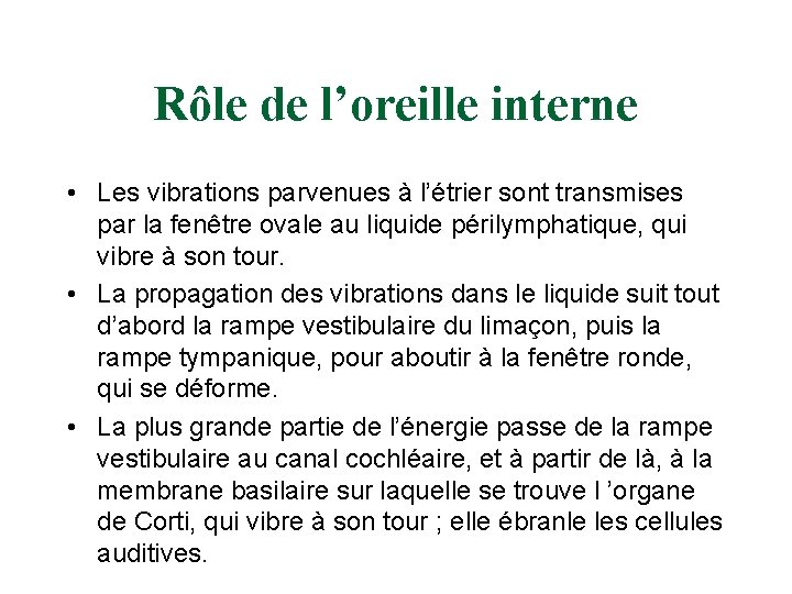Rôle de l’oreille interne • Les vibrations parvenues à l’étrier sont transmises par la